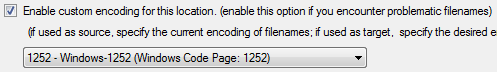 Option enable custom encoding