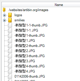 Problematic encoding filenames.